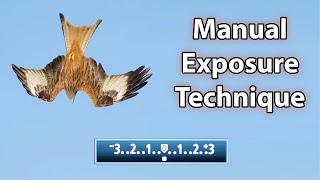 How to SET MANUAL EXPOSURE on your Camera - A Wildlife Photography Tutorial