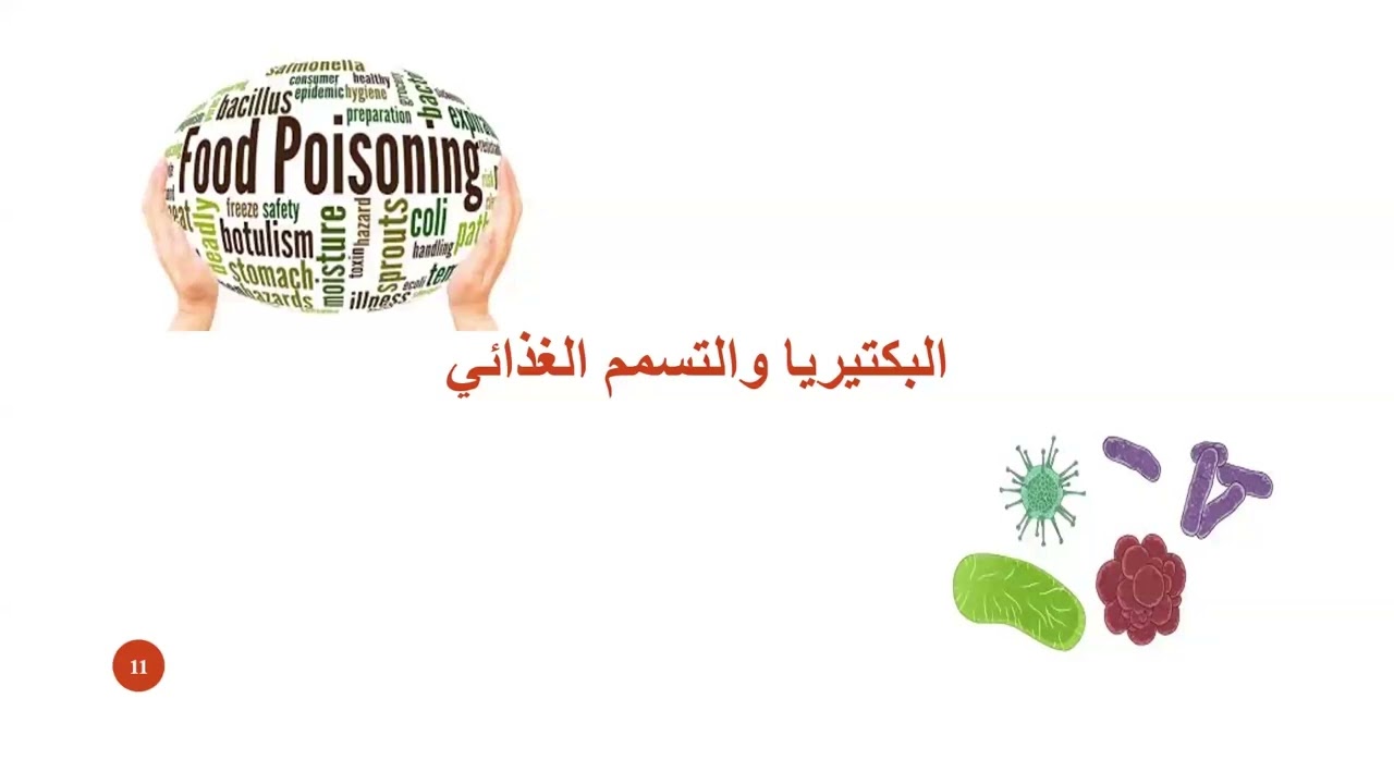 ويبينار أساسيات سلامة الأغذية