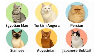 These Cat Breeds Are Older Than You Think