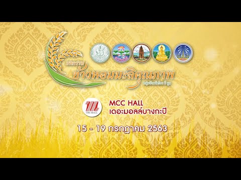 มหกรรมข้าวหอมมะลิคุณภาพและของดี 4 จังหวัดอีสานล่าง 2