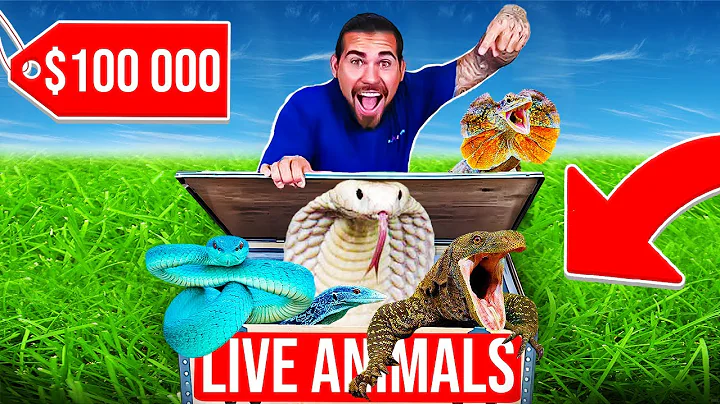 $100,000 Reptile UNBOXING! (Indonesia Import) thumbnail