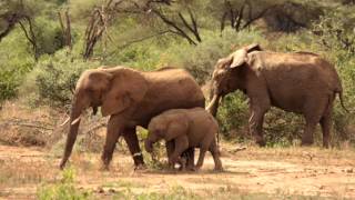 REALISATEUR CHRISTIAN VOYAGE EN TANZANIE