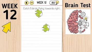 Brain Test Day 12 Catch 5 Birds Flying Towards Right.