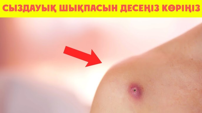 Үндістандағы порно фильм