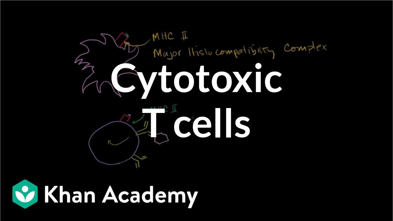 How many T-cells do people normally have?