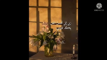 حفظ وتكرار الأيه 11,12,13من سورة البقره