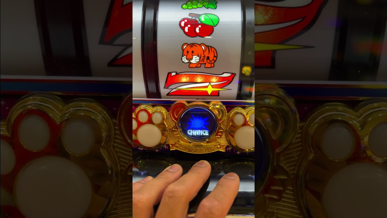 nhà cái pog79 bet Yeah Buddy! gogochance pachinkoslot big 777