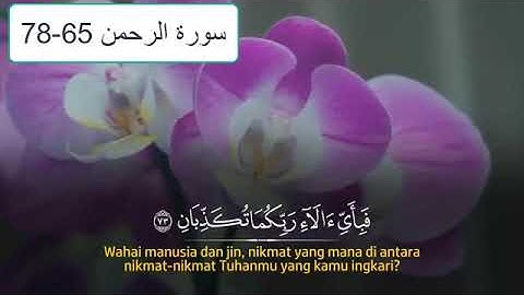 سورة الرحمن الآيات 65-78 مع تكرار للحفظ بصوت جميل