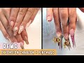 [ DEMO ] ONGLES EN GEL CHABLON ET C - CURVE - Isa Distribution