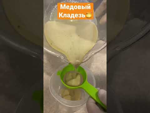 Трутневый расплод. Как