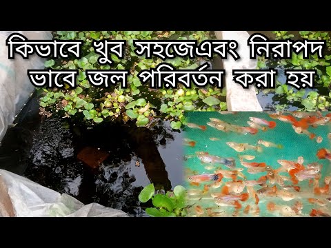 ভিডিও: পরিবর্তন এবং পরিবর্তন করা কতটা সহজ?