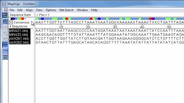 DNASTAR - Performing a Sub-Alignment in MegAlign