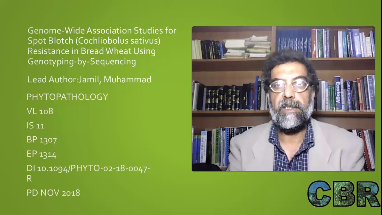 Spot Blotch Resistance in Bread Wheat Using Genotyping-by-Sequencing