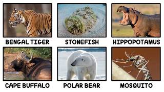 Every Biome's Deadliest Animal Explained