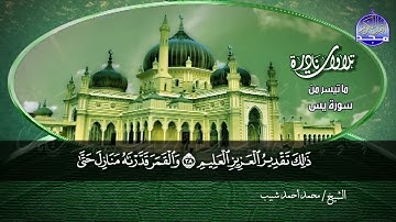ما تيسر من سورة يس🌱 لقارئ النصر : محمد احمد شبيب 🌱 من نوادر المجد HD