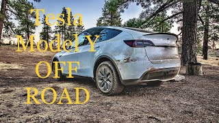 Tesla Model Y - Off Road