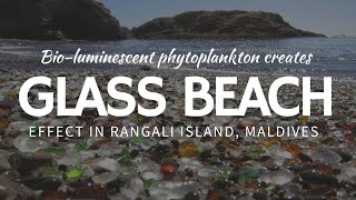 In california, a chain of glass beaches is considered to be natural
wonder. there are three known the fort bragg region and it shows how
nat...