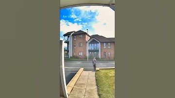 Have You Done It Before? | Reolink Captured #reolink #homesecurity #cctv #fypage #kidsvideos #runway