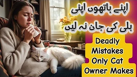 Deadly mistakes Persian cat owner makes|8 things you must never do to your Persian cat|Persian cats
