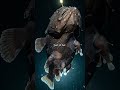 Shes not hunting alone she never was DeepSea Anglerfish OceanFacts DarkOcean Mar