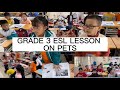 GRADE 3 ESL LESSON ON PETS || GRADE 3 DEMO LESSON ON PETS