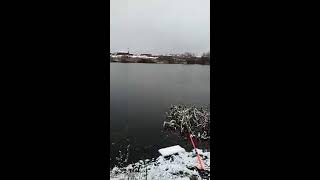 Alex 58  в прямом эфире! На рыбалке Пензенская область