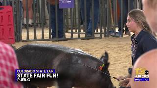 Past the rides and fried food, this competition is at the heart of the Colorado State Fair
