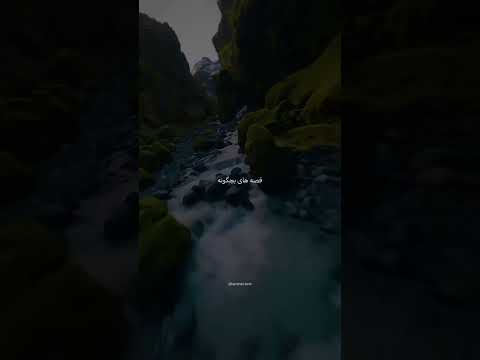 گفتی میخام رو ابرا همدم ستاره ها شم  