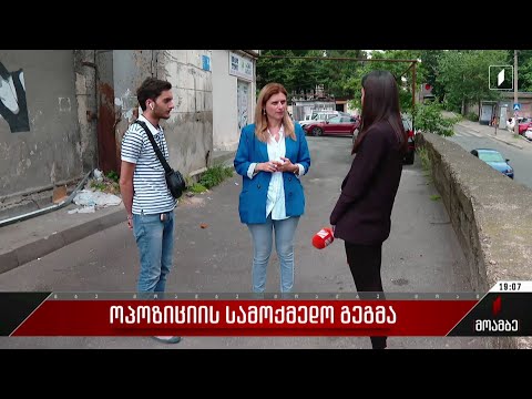 ოპოზიციის სამოქმედო გეგმა