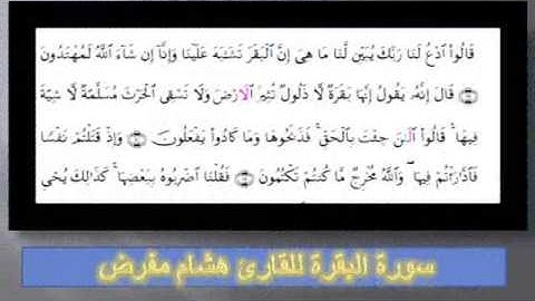 سورة البقرة من الاية 65 الى 74 للقارئ هشام مفرض