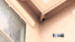 Pest Control Service Henderson NV, Agent Pest Control
