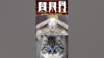 Number Puzzle Game#shorts#mindgame#comment