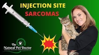 Injection Site Sarcomas From Vaccines in Dogs and Cats with Dr. Katie  The Natural Pet Doctor