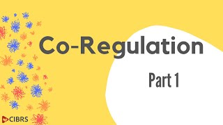 Famous Co-Regulation: Part 1 Net Worth