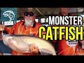MONSTER CATFISH on the MISSISSIPPI RIVER with GODWIN!!!