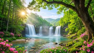 Beautiful Relaxing Music 2026 – Deep Sleep, Relaxation & Emotional Healing with Soft Piano screenshot 2