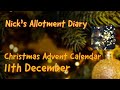 Christmas Advent Calendar - 11th December - Christmas Lights