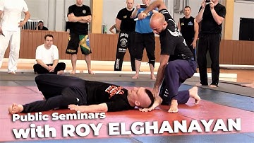 Krav Maga Seminars with Roy Elghanayan (2012/2013)