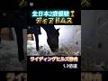 #ディアドムス #ライディングヒルズ静内 #引退馬 #功労馬 #乗馬