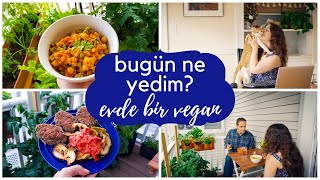 Vegan Köfte Peynirli Türk Kahvaltısı Yaramaz Penny Bebekler Bir Veganın Hayatı