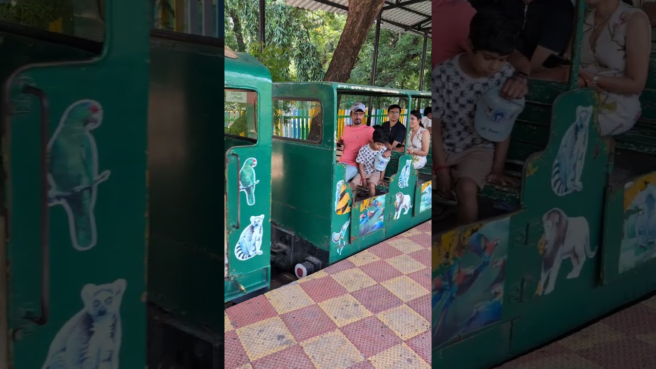 Hyderabad zoo || Nehru Zoological park, Hyderabad 