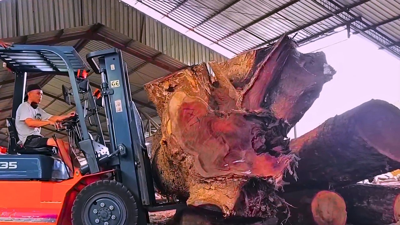 Giant Wood Processing Factory Processes Thousand Year Old Trees | An Amazing Sight