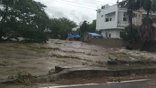 Heavy floods in Hanamakonda!!LIVE NEWS