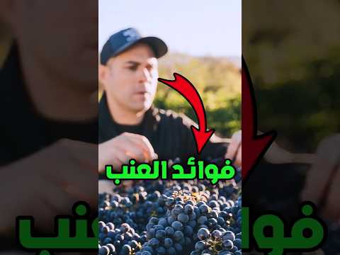 فوائد العنب الصحية يعزز صحة القلب يحسن الهضم يقوي المناعة ويحافظ على نضارة البشرة