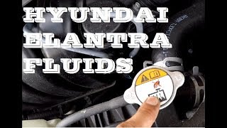 How to check fluids in Hyundai Elantra 2010-2016. Maintenance