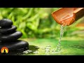 🔴 Relaxing Music 24/7, Sleep Music, Stress Relief Music, Spa, Meditation, Yoga, Zen, Sleeping Music