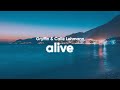 Gryffin Calle Lehmann Alive Lyrics mp3