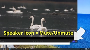 Why is there No Sound? (KMPlayer 64-bit, Mute-Unmute, M or Speaker icon)