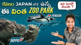 కేవలం JAPAN లోనే ఉన్న ఈ వింత ZOO PARK | మీరు ఆశ్చర్యపోతారు !