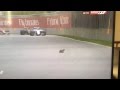 Formula 1 animal crossing